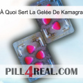 À Quoi Sert La Gelée De Kamagra 15
